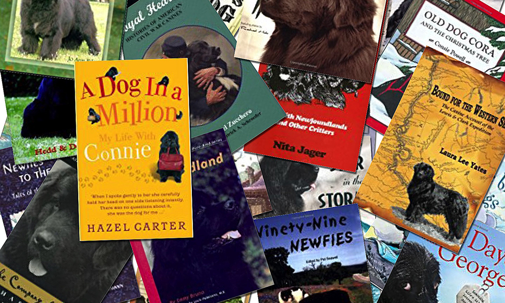 bookbanner